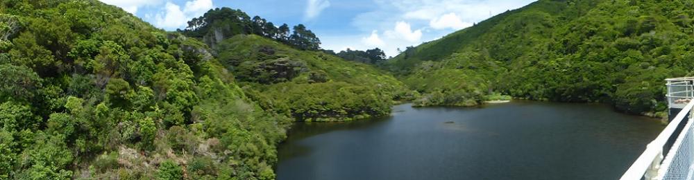 Upper reservior and dam at Zealandia
